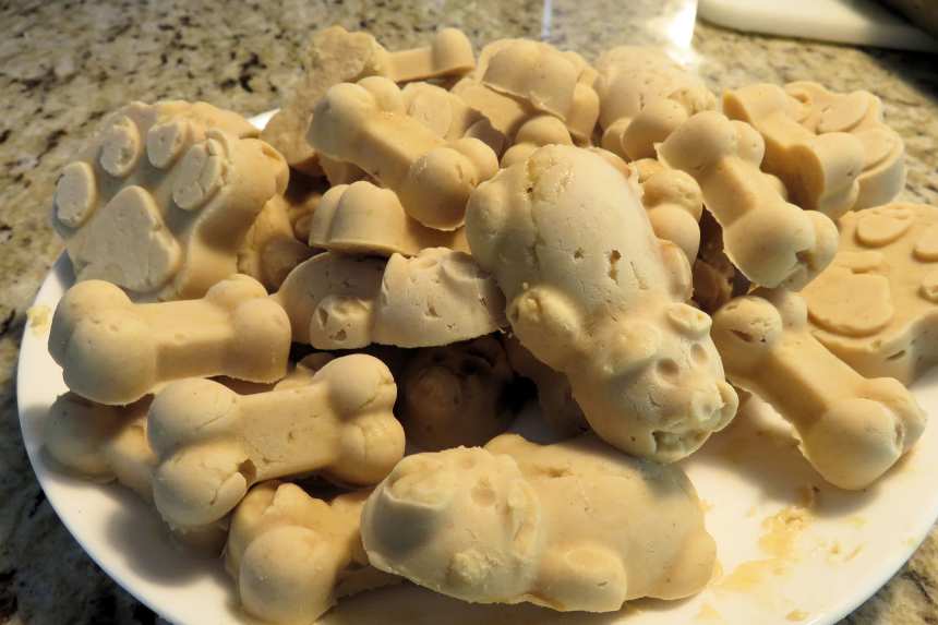 Frozen peanut butter banana dog treats store